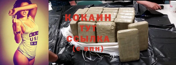 индика Бугульма