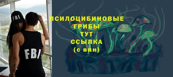 марки lsd Бородино