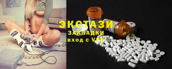 индика Бугульма