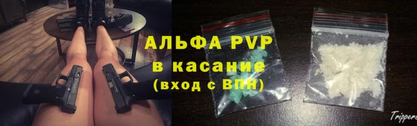 индика Бугульма