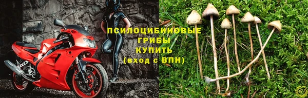 индика Бугульма