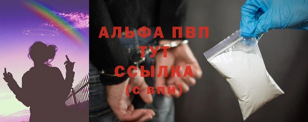 индика Бугульма