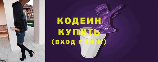 индика Бугульма