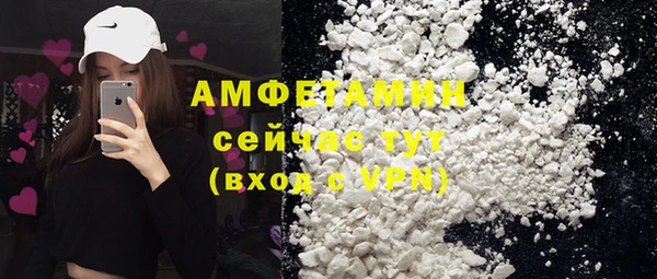 индика Бугульма
