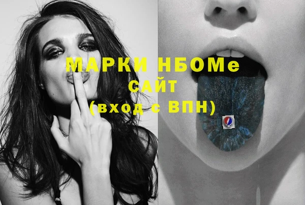 индика Бугульма