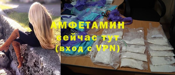 индика Бугульма