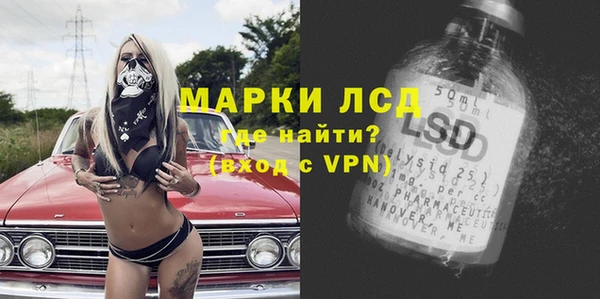 индика Бугульма