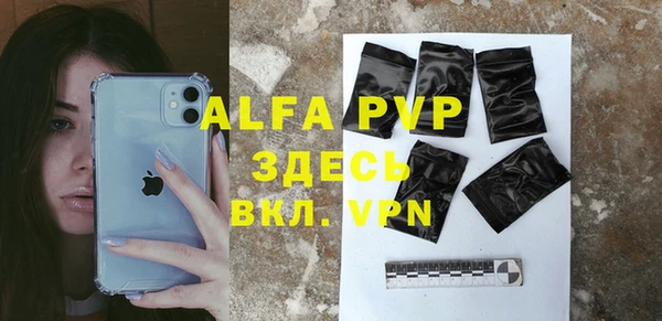 индика Бугульма