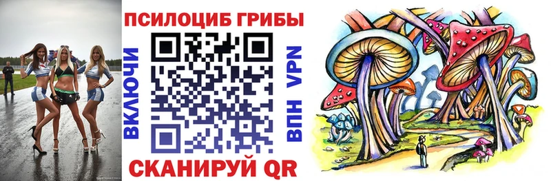 сколько стоит  Кола  ссылка на мегу зеркало  Псилоцибиновые грибы Psilocybe 